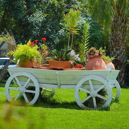 Modern In Caesar & Spa, Long *