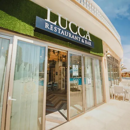 Modern In Caesar & Spa, Long *